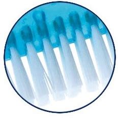 Miradent Protho Brush De Luxe Prothesenb Rste Blau St Ck Apo