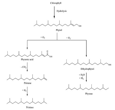 9. Pristane and phytane formation from phytol [45] | Download ...