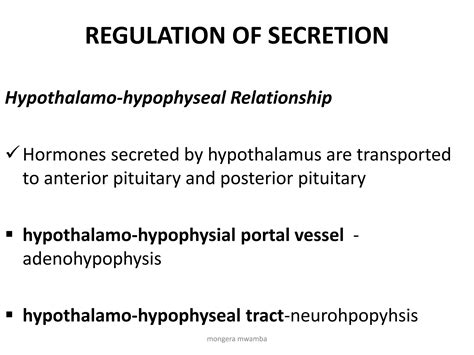 Pituitary Gland Anatomy Endocrine System Ppt