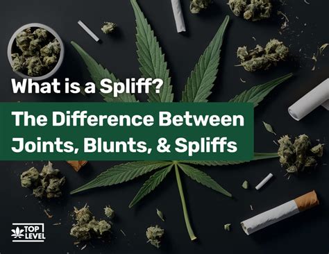 What is a Spliff? The Difference Between Joints, Blunts, & Spliffs