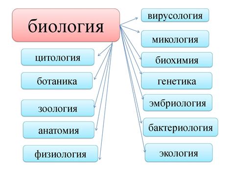 Биология – наука о живой природе - презентация онлайн