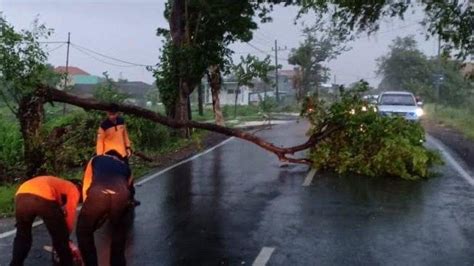 Hujan Dan Angin Sebabkan Pohon Tumbang Di Gresik Surya Co Id