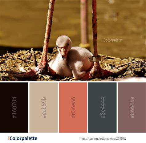 Color Palette Ideas from Colorful Image | iColorpalette