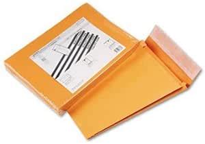 Amazon Quality Park Redi Strip Kraft Expansion Envelope Envelope