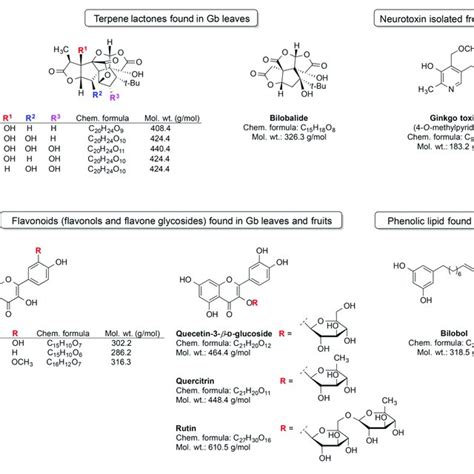 chemical structure  targeted mechanisms  galantamine gal