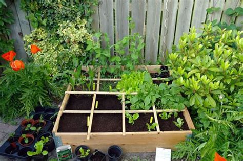 Maak Kennis Met De Mini Moestuin Inspiratie Voor Je Interieur