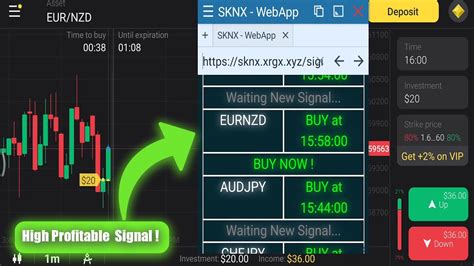 Signal High Profitable For Trading Binomo Quotex Iq Options