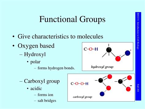 Ppt Molecules And Functional Groups Powerpoint Presentation Free Download Id6310057