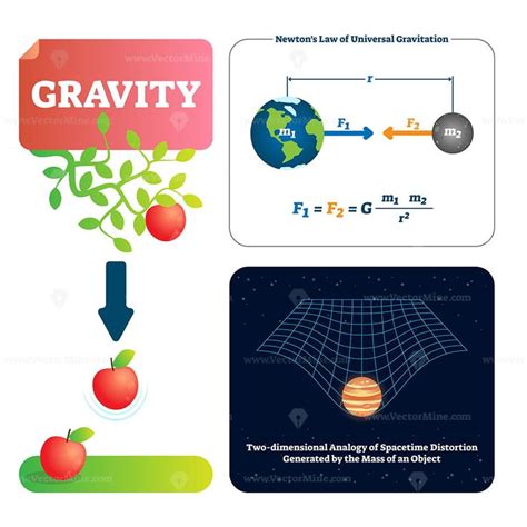 gravity vector illustration vectormine