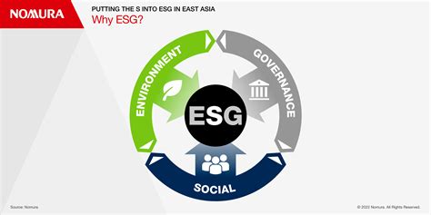 ESG In East Asia The S Factor What Are The Key Social Principles