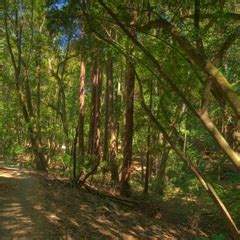 Huddart Park Trails | County of San Mateo, CA