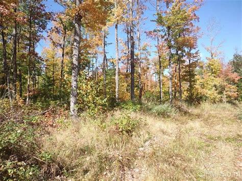 40 Acres Of Recreational Land For Sale In Pelkie Michigan Landsearch