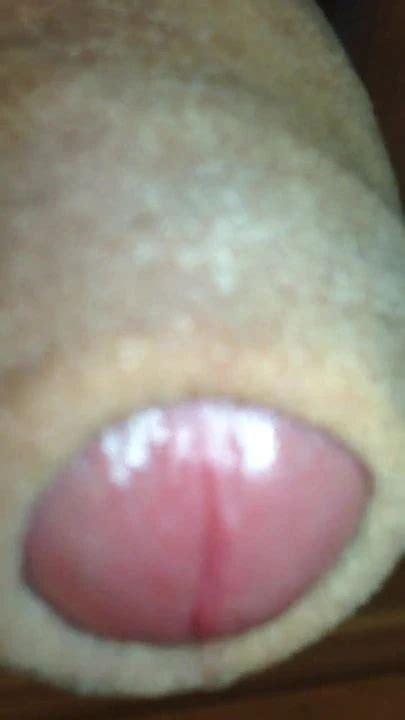 Polishing My Knob Gay Man Porn Xhamster