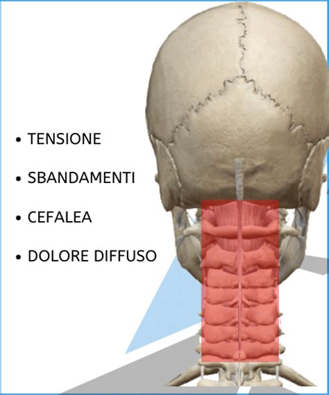 Disturbo Cervicale Causato Dall Ansia O Ansia Causata Dal Disturbo