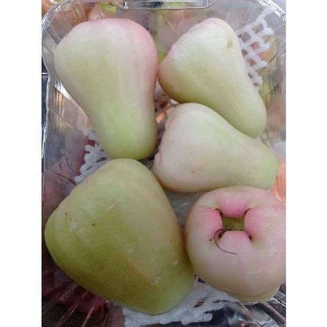 Jual Jambu Deli Madu Manis Segar 1 Kg Shopee Indonesia