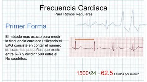 La Frecuencia Cardiaca Ppt