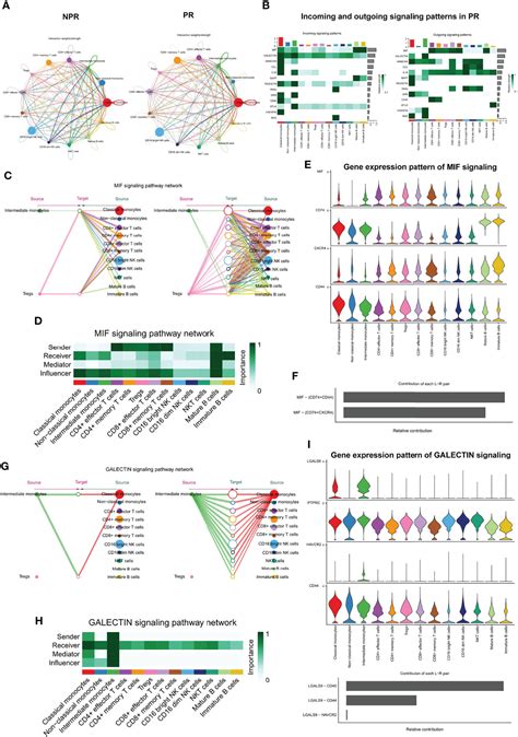 Frontiers Single Cell RNA Sequencing Of Peripheral Blood Mononuclear