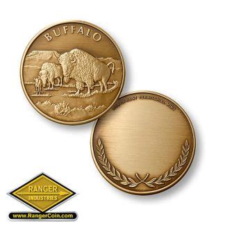 Buffalo Bronze Antique – Ranger Coin Store