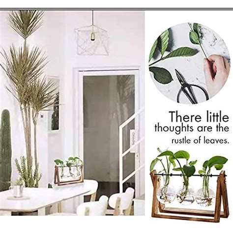 Plant Terrarium With Wooden Stand Air Planter Bulb Glass Vase Metal Swivel Ebay