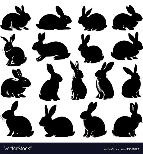 Isolated rabbit on white background set Royalty Free Vector