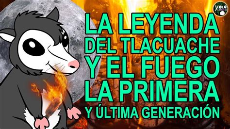 La Leyenda Del Tlacuache Y El Fuego La Primera Y Ltima Generaci N