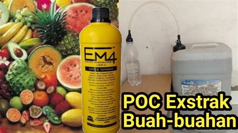 Cara Praktis Membuat Pupuk Organik Cair Poc Dari Limbah Buah Buahan