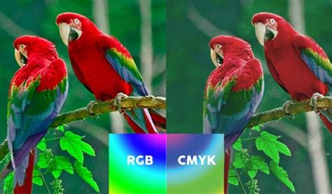 Dịch vụ in RGB duy nhất tại Việt Nam