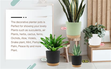 Inch Plant Pot Pack Planters For Indoor Plants With Drainage