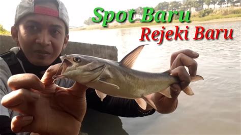 Mancing Dispot Baru Dapat Ikan Jenis Baru YouTube