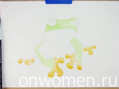 Лягушка акварелью: поэтапный мастер-класс с фото - Onwomen.ru