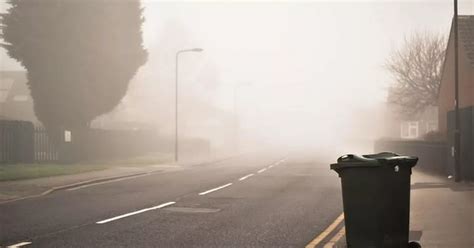 Tonbridge And Malling Borough Council Christmas And New Year Bin