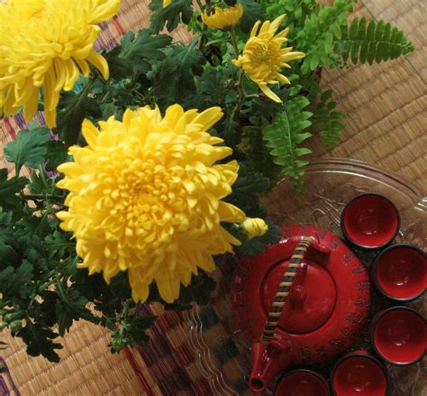 RAINBOW - The Colours of India: Sunny Simple Beauty...:)