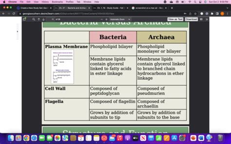 Biol Lect Module Prokaryotes Ch History Of Life Bacteria