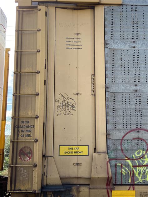 train stopped at the tracks near my attractor. : r/randonauts