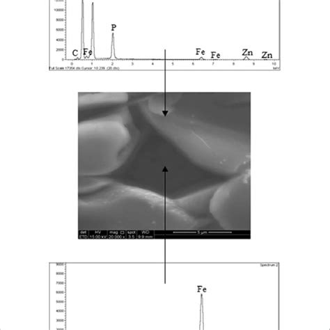 Sem Image And Edx Diagram Of Zn P Coated Mild Steel Under X