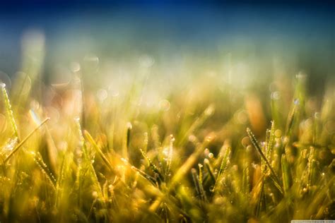 Grass And Sky Wallpaper 71 Images