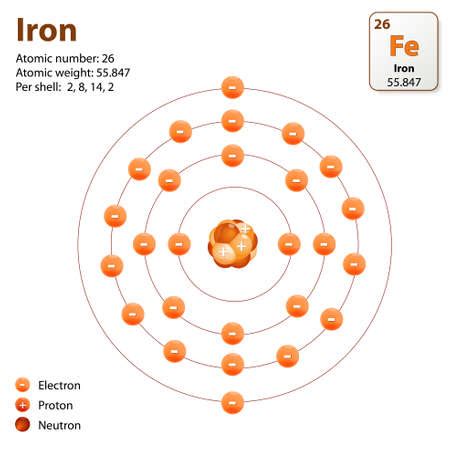 Vector of Atom Iron. This diagram shows - ID:47315356 - Royalty Free ...