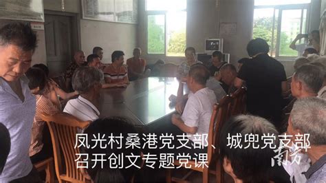 揭东桂岭镇：为民服务·桂岭有我，创文行动党员打头阵、当先锋 文明 活动 陈婷婷