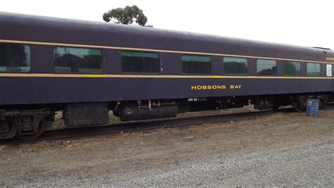 Bz Bz Hobsons Bay