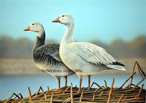 Bird Painting Original Art Geese Landscape Bird Art Etsy Painting