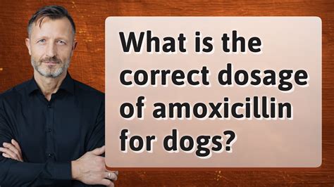 What Is The Correct Dosage Of Amoxicillin For Dogs Youtube