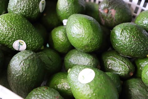 Celebramos La Admisibilidad Del Aguacate A Estados Unidos Iberonews