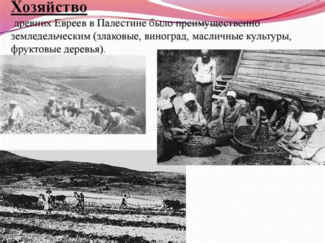 Евреи. Этнические группы евреев - презентация онлайн