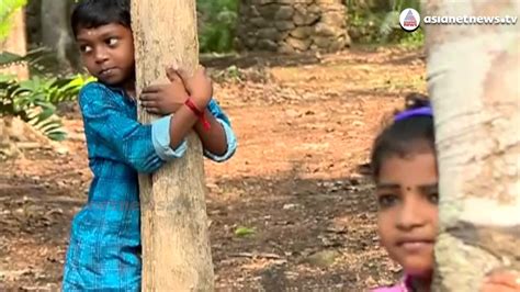 Largest Tree Hug In The World Guinness World Record For Asianet News