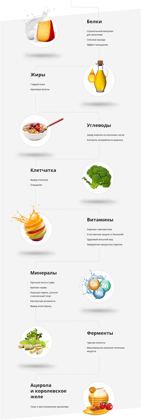Презентация Energy Diet HD - Energy Diet - Магазин - Официальный ...
