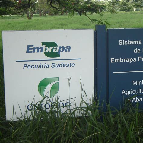 Embrapa Pecu Ria Sudeste E A Embrapa Instrumenta O V O Receber