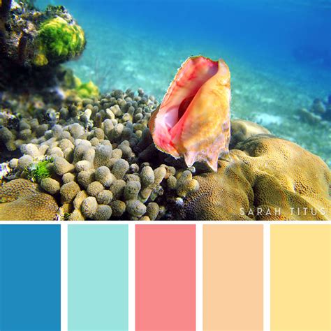 25 Summer Color Palettes Laptrinhx News