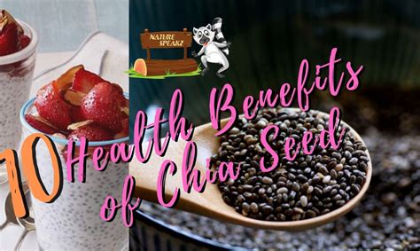 Ten Health Benefits Of Chia Seed Nature Speakz