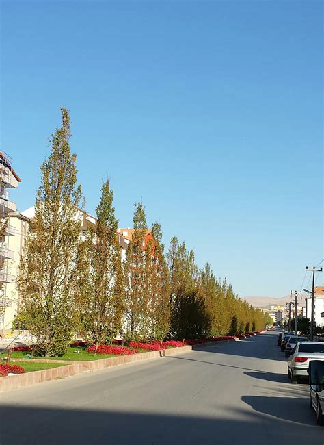 Gemeinde Kırşehir