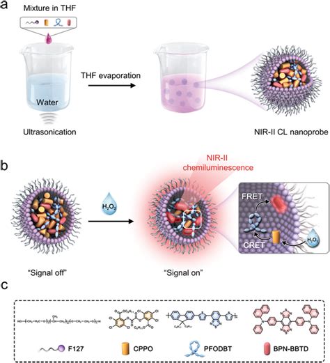 A Schematic Procedures For Synthesizing Nir‐ii Cl Nanoprobes B